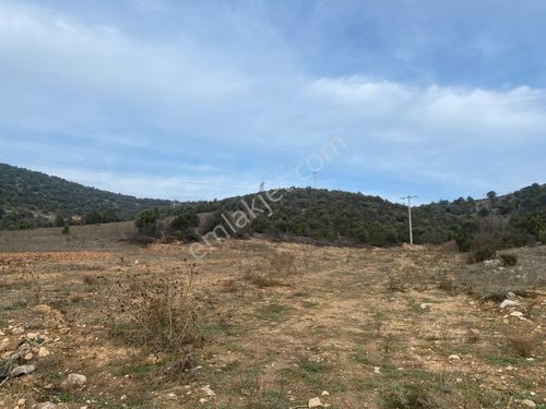 Medetli Köyünde Yolu Olan 1066 M2 Satılık Tarla