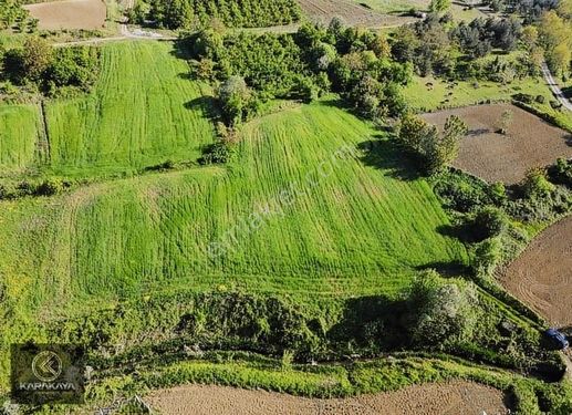 Seyitaliler Köyünde Muhteşem Doğa Yeşilin İçinde Tarım Arazimiz