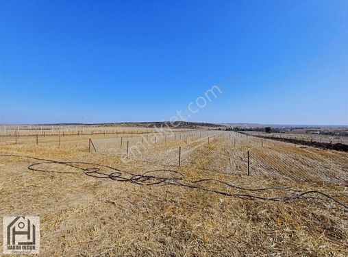 Odunpazarı Derbent Mh Brüt 300 M2 Net 250 M2 Elektrik Su Hazır