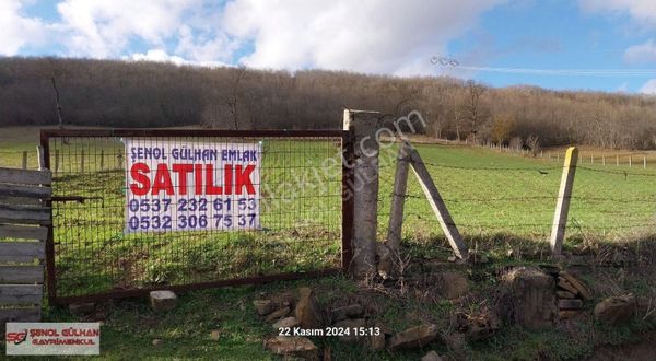 Samsun Kavak Saraykent Te Satılık 5952m2 Tarla