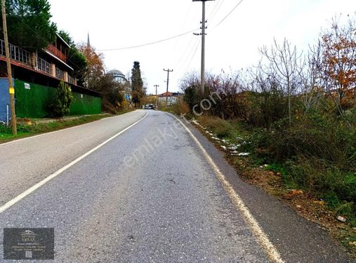 Gebze Denizlide Köy İçinde İmarlı Yeri Belli Arsalar