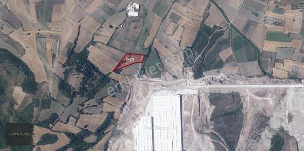 Nitelik'ten Kemalpaşa Güllüce Mah.de 691 M² Yatırıma Uygun Tarla