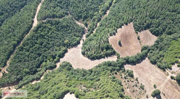 Gönen Geyikli De Yatırımlık Arazi