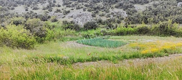 Çanakkale Merkez Kocalar Köyünde İmarlı Satılık Arsa