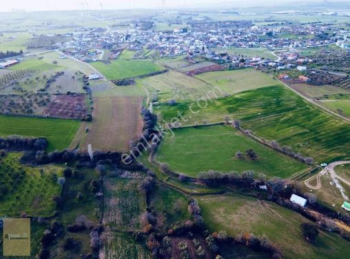 Çanakkale Ezine Üvecik Köyünde 1536m2 Satılık Tarla