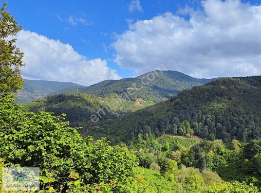 Sığınak Emlak'tan Elmaçukurundafındık Bahçesi Yolu Var