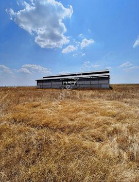 Kırklareli Lüleburgaz Kayabeyli'de Satılık Çiflik