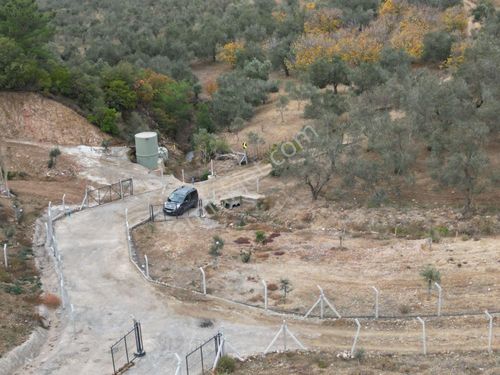 Sabri Pınarbaşı 'dan Edremit Yayalaönün'de Satılık Zeytinlik