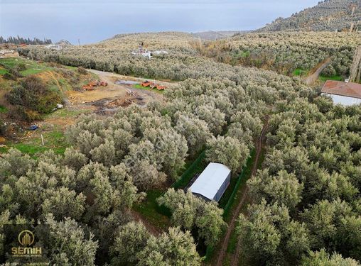 Yerleşime Yak. İznik Gölü Mazaralı Konteyner Yapılı Hobi Bahçesi