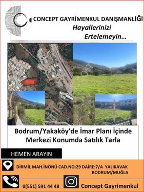 Bodrum Turgutreis İslamhaneleri Organik Tarıma Uygun Satılık Tarla