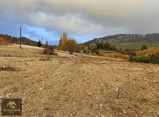 Güzelyayla Göl Manzaralı Orman İçi Harika Arazi