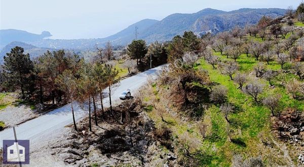 Kw Karia Dan Datça Mesudıye De Deniz Manzaralı Arazi