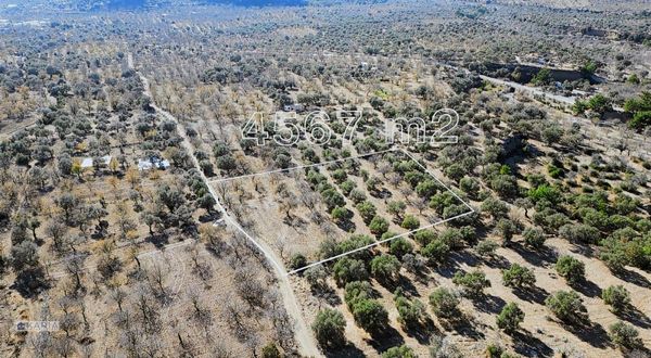 Kw Karıa'dan Palamutbükü'nde Yolu Olan Tarla