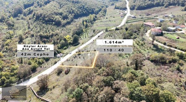 Çağan Gayrimenkul'den Nasuhlar'da %5 İmarlı Arsa