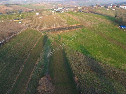 Arazi Uzmanı Recep Davutoğlu'ndan Yatırımlık Tarla