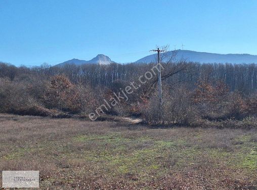 Kalfa Köyde Satılık Villa Yapımına Uygun Arsa