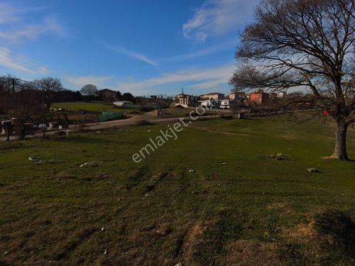 Tuzla Tepeörende Konut İmarlı Yatırımlık Fırsat Arsa