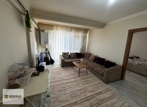 Şenkal Gayrimenkul'den Minimall Avm Arkası 1+1 Kiralık Daire