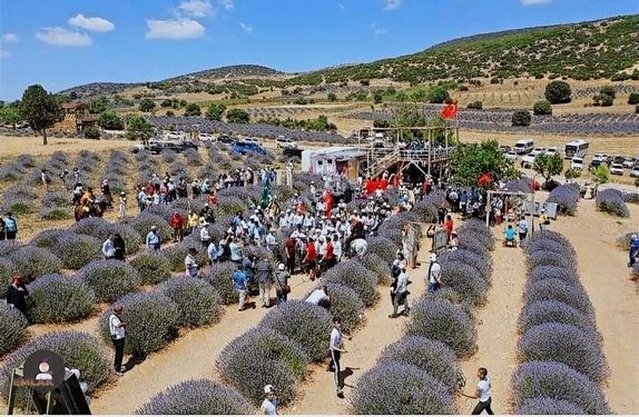 Türkiyenin Lavanta Cenneti Kuyucak Köyünde Yatırım Fırsatı