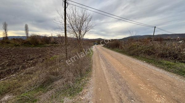 Yıldız Emlak Gayrimenkul'den Muratlar Mahallesinde Satılık 4775.86m2 Tarla