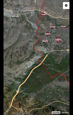 Erzincan Refahiye Ortagözede 14.065 M2 Kayı Vilları Yakını Sivas- Erzincan Karayolu Üzeri