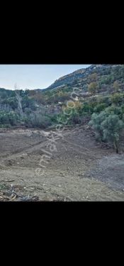 Aslanlı Mahallesinde 2810 M2 Satılık Arazimiz.