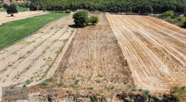 Çanakkale-biga ' Akkayrak Köyü Mevki- Satılık Tarla