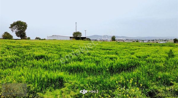 Çanakkale-biga Balıklıçeşme Satılık Konut İmarlı Arsamız