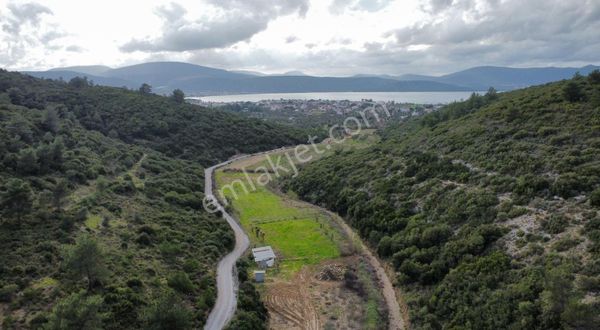 Tiny Köy Ve At Çiftliği İçin İdeal Arazi