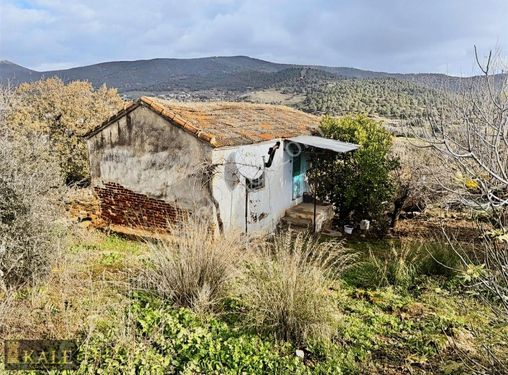 Kale'den Derebaşı Köy Merkezi'nde Geniş Arsa İçinde Çift Ev