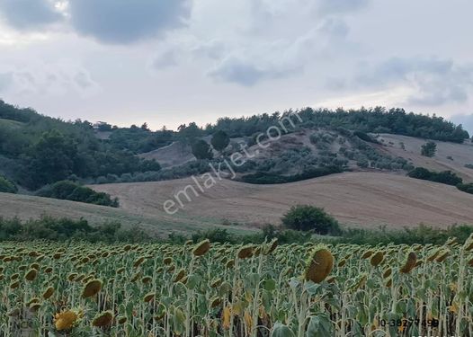 Nck'dan Sarıçam Kılıçlıda 1040 M2 Satılık Hisseli Tapu