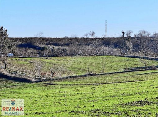 Tekirdağ Süleymanpaşa'da Fırsat Satılık 7120 M² Yatırımlık Tarla