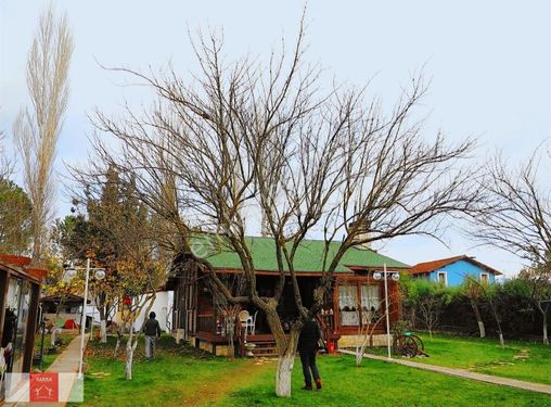 Çiçekli Köy, Doğa, Mehtap, Aşk, İkinci Bahar Sordular Neredesin?