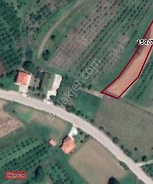 Kandıra Eğercilide Satılık 1469 M2 Asfalta 1 Parsel Köyiçi Arsa