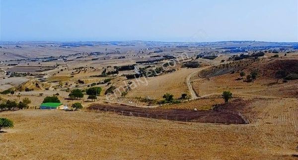 Değirmenköyde Tepe Konumda Yanyana 200,250m2ler