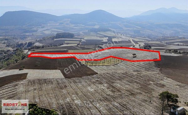 Sakarya Geyve Çine 21557m2 Resmi Yol Müstakil Tapu Muhteşem Doğa