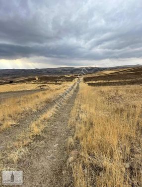 Galatadan İsaköyde Satılık Düz Arazi