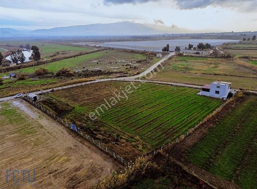 Aydın Köşk Satılık İncir Bahçesi Ve Bağ Evi