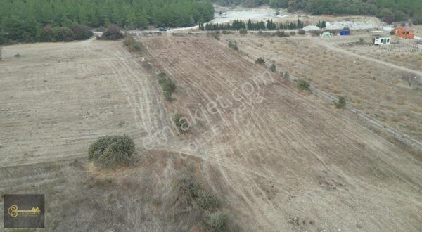 Bergama Koyuneli´nde Kadastral Yola Sıfır Muhteşem Tarla