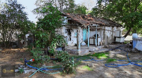 Bergama Atatürk (bağlar) ´da Muhteşem İçinde Evi Olan Bağ