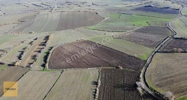 Mayadan Gayrimenkul Den Biga Koruoba Da Deniz Manzaralı Tarla