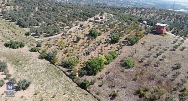 İzmir Kemalpaşa Ulucak'da Satılık Tek Tapu Arazi