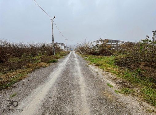 Egemen Bozkurt'tan Hendek Kemaliye Mahallesinde 500 M2 Arsa