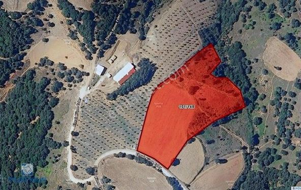 Çanakkale Biga Elmalı Köyü 14.536m2 Fırsat Konumda Tarla