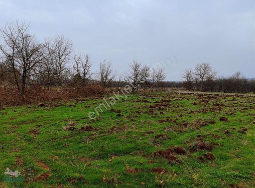 Ümitalan Köyün De Satılık Tapulu 240m2 Arsa Acil