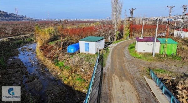 Gazi Süleymanpaşa Mah. İmara Yakın Satılık Tarla