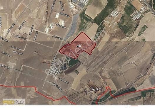 Fed Global-beydeğirmeni İmara Sıfır Satılık 164.500m2 Tarla