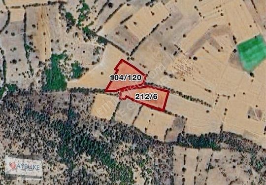 Çardak Söğüt 10.500 M2 Yolu Suyu Olan Tarla