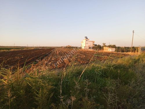 Satılık Tarla Yukarı Koymat Köyü