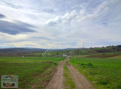 Örentepe Köyünde Resmi Yola Cephe Doğa Manzaralı Satılık Tarla